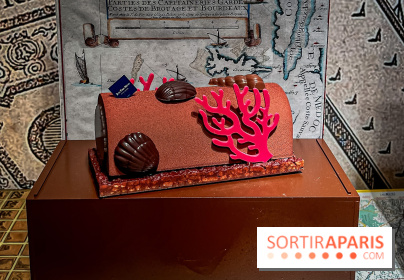 Les bûches de Noël 2024 de Jean-Paul Hévin, le maitre du chocolat : bûche corail