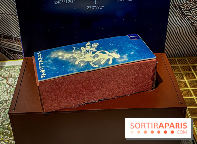 Les bûches de Noël 2024 de Jean-Paul Hévin, le maitre du chocolat : sagittarius