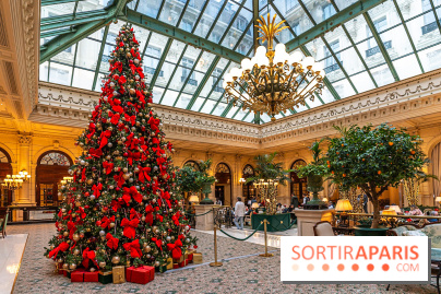Top 15 des plus beaux Sapins de Noël à Paris 2024 : l'Intercontinental