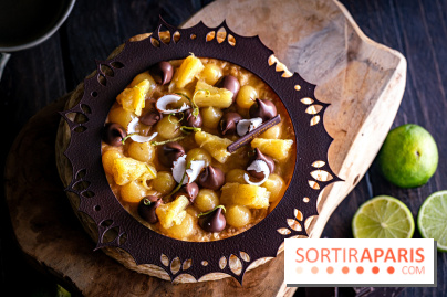 L'étonnante galette des Rois de La Maison Du Chocolat 2025 : Ananas Royal