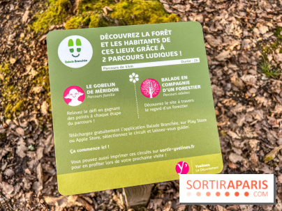 Balade interactive en forêt de Méridon : “Conte de Mélida, l’esprit de la forêt” dans les Yvelines