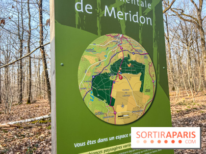 Balade interactive en forêt de Méridon : “Conte de Mélida, l’esprit de la forêt” dans les Yvelines