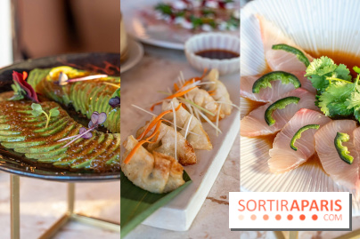 Kinugawa Rive Gauche, le restaurant-terrasse en rooftop franco-japonais de l'Hôtel Sax se dévoile