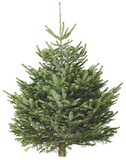 Les sapins de Noël Ikea 2014