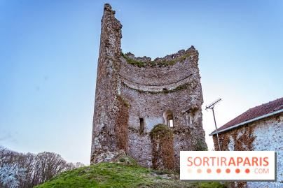 Connaissez-vous l'histoire de ce donjon médiéval des Yvelines, vestige d'un ancien Château Fort ?