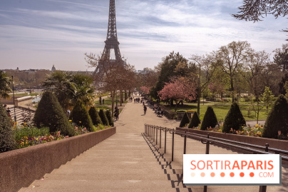 Les cerisiers du Trocadéro fleurissent avec de l'avance en ce printemps 2026