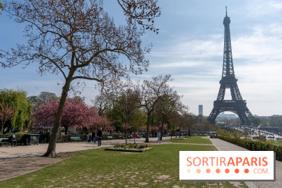 Les cerisiers du Trocadéro fleurissent avec de l'avance en ce printemps 2026