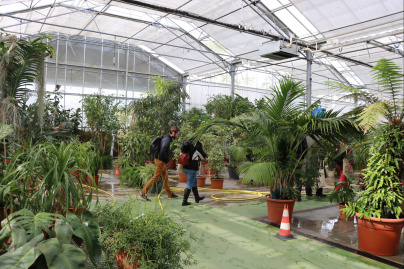 Val d'Oise : des milliers de plantes aux Portes ouvertes du centre Horticole du Grand Paris