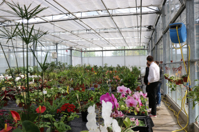 Val d'Oise : des milliers de plantes aux Portes ouvertes du centre Horticole du Grand Paris