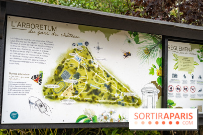 Ce parc des Yvelines cache un arboretum, des secrets royaux et a inspiré Blake et Mortimer