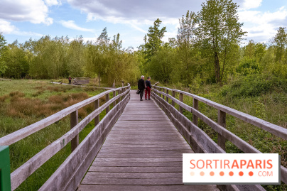 Ile du Perthuis Seine et Marne 