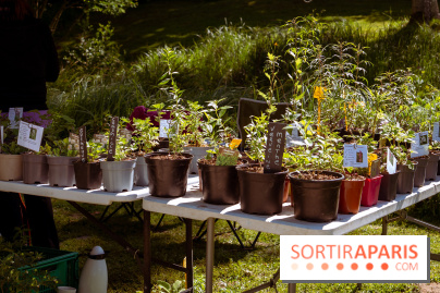 Les Naturiales 2026 à Fontainebleau : marché de plantes et animations nature en Seine-et-Marne