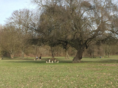 Où faire un barbecue en Ile de France ?