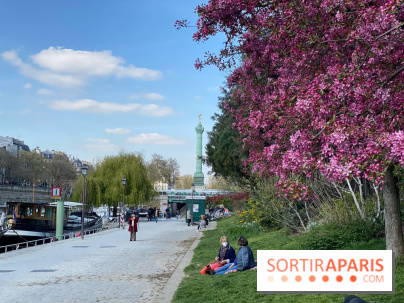 Cerisiers en fleurs à Paris et en Ile-de-France, où les trouver
