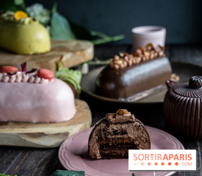 Les nouveaux Entremets Nomades de Pierre Hermé