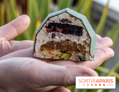 La Bûche de Noël Cigale de Bryan Exposition pour l'Institut Raphael