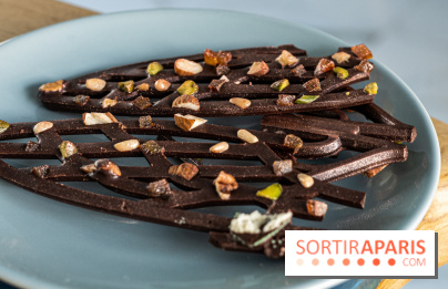 La Bûche de Noël Cigale de Bryan Exposition pour l'Institut Raphael