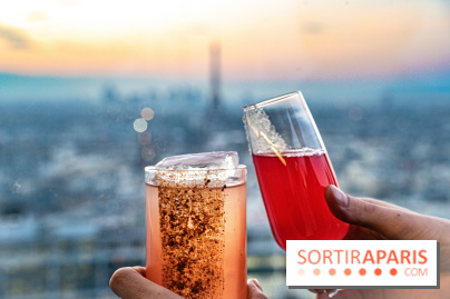 Le Skybar rooftop, le plus haut bar à ciel ouvert de Paris