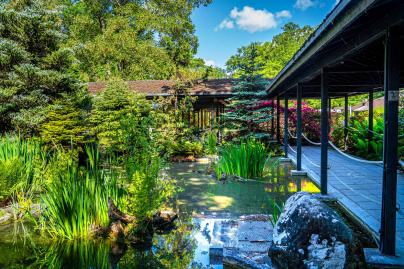 Les jardins japonais du Parc Floral de Paris au Bois de Vincennes 