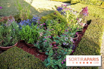 Le Domaine de Trianon et ses sublimes jardins 