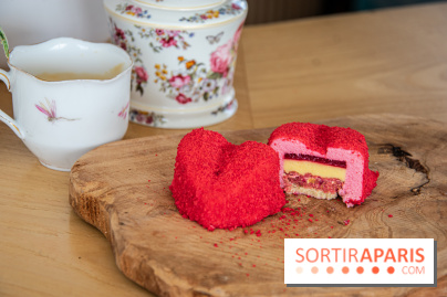 Les pâtisseries coquines et originales de la Sphère Gourmande