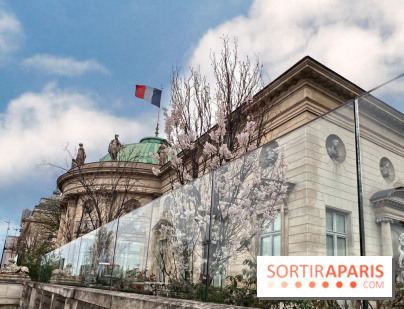 Découvrez le Musée gratuit de la Légion d'Honneur : Un Voyage à Travers l'Histoire des Distinctions