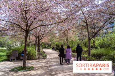 Où voir des cerisiers en fleurs à Paris et en Île-de-France : nos spots coup de cœur !