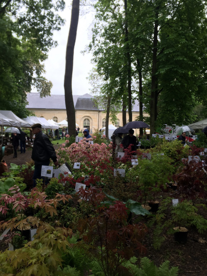 Fête des Plantes 2023 au Château de La Roche-Guyon (95)