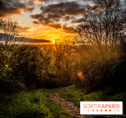 Colline d’elancourt - colline de la revanche 