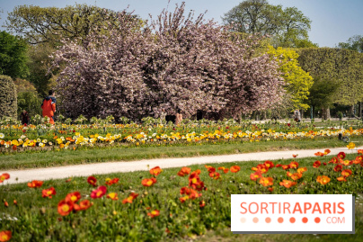 8 trésors méconnus du Jardin des Plantes de Paris à découvrir absolument