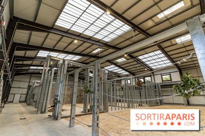 Les nouveaux lodges du Zoo de Thoiry en Terres d'Afrique : une immersion parmi les éléphants - La Maison des éléphants