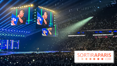 MCOUNTDOWN IN FRANCE à Paris la Défense : on y était, on vous raconte