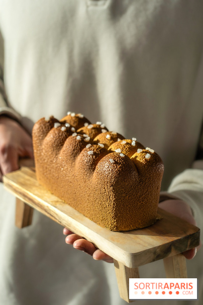 La Bûche de Noël trompe l'œil brioche originale de chez Ochre