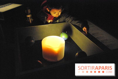 Exposition Nuit au Muséum Natinaol d'Histoire Naturelle