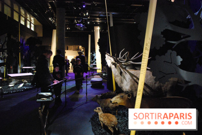 Exposition Nuit au Muséum Natinaol d'Histoire Naturelle