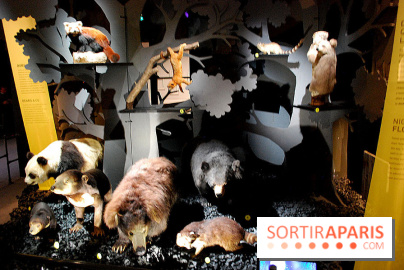 Exposition Nuit au Muséum Natinaol d'Histoire Naturelle