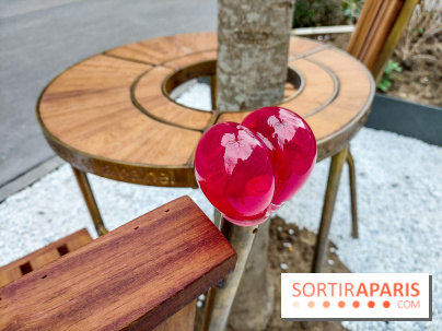 Paris : quel est ce blanc symbolique installé à deux pas de la tour Eiffel ?