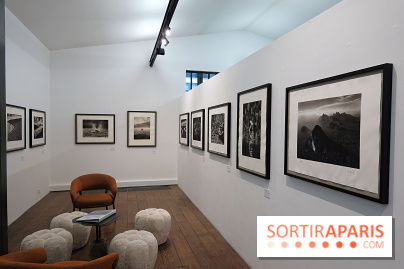Sebastião Salgado présente son exposition "Genesis Platinum" à la Galerie Polka