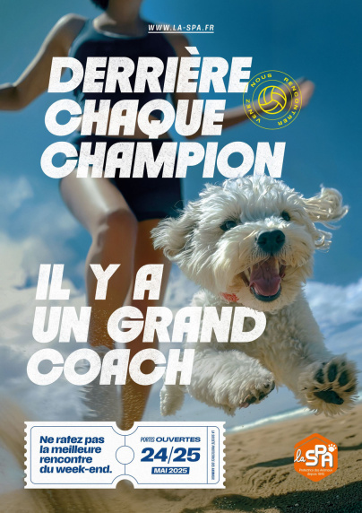 SPA : les "portes ouvertes adoption" de retour ce printemps dans 6 refuges d'Île-de-France