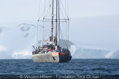 La goélette Tara amarrée à Paris : visites à bord et exposition à quai pour une plongée en Arctique