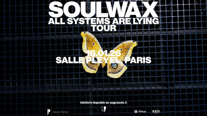 Soulwax en concert à la Salle Pleyel à Paris en janvier 2026