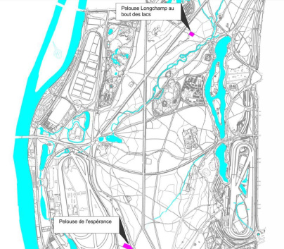 Les parcs, squares et jardins où promener son chien à Paris, avec ou sans laisse 