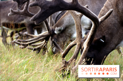 Climat Environnement Arctique fonte permafrost