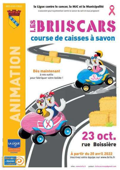 Octobre Rose 2022 : les BriisCars, une course de caisses à savon en Essonne