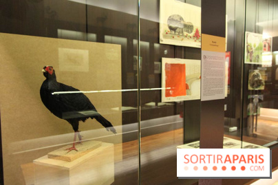 Les animaux célèbres de la Ménagerie, l'exposition