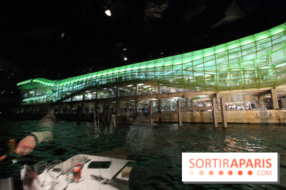 Dîner-croisière Marina de Paris