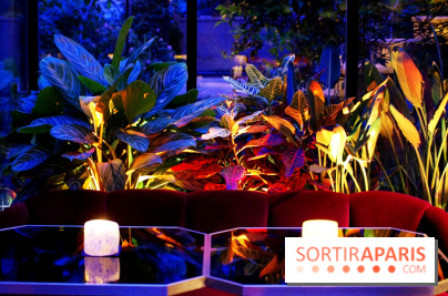 Le Très Particulier - la verrière