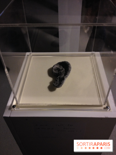 Archipel Secret au Palais de Tokyo