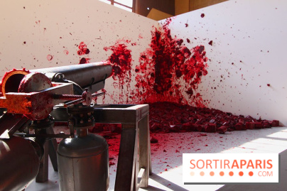 Shooting into the Corner d'Anish Kapoor au Château de Versailles