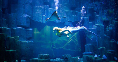 Comprendre et rêver en famille à l'Aquarium de Paris